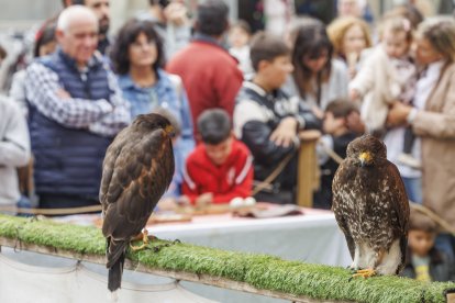 El desfile, el pregón y las actividades giran en torno a la figura del Cid