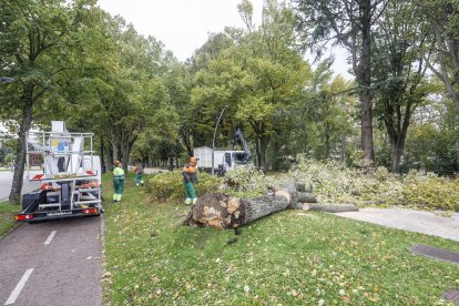 La borrasca 'Kirk' causa estragos en Burgos.