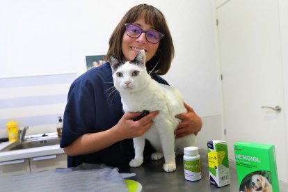 El cannabis como medicina para paliar enfermedades crónicas, en la imagen la veterinaria Marian Belloso de la clínica Argos atiende a un gato, y a su lado productos elaborados con cannabis mediciinal