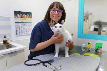 El cannabis como medicina para paliar enfermedades crónicas, en la imagen la veterinaria Marian Belloso de la clínica Argos atiende a un gato, y a su lado productos elaborados con cannabis mediciinal