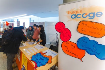 Octava edición del Festival Intercultural de Burgos.