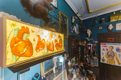 Situada en el corazón histórico de Burgos, cerca de la Catedral, en la calle Fernán González.