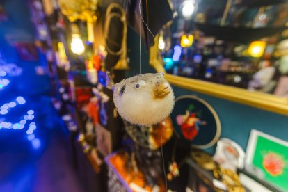 Situada en el corazón histórico de Burgos, cerca de la Catedral, en la calle Fernán González.