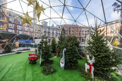 Los puestos de flores y adornos solo estarán activos hasta el día 11 de diciembre.