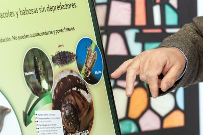 Una propuesta para conocer la variedad de depredadores del Burgos.