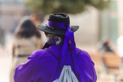 Los músicos recorrieron las calles del centro de la capital, seguidos de un gran gigante que trajo la delegación francesa hasta Burgos.