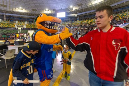 Imagen de la exhibición en el Coliseum.