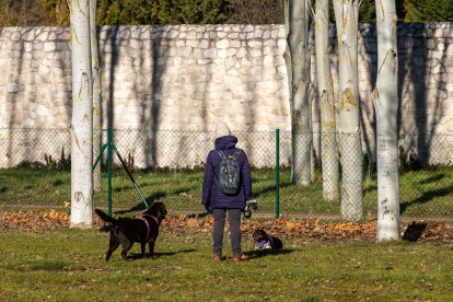 Zona de esparcimiento canino cerca del barrio de Huelgas, en la calle Castrillo del Val.