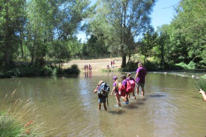 Campamentos verano