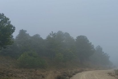 La niebla persiste en gran parte de la provinica.