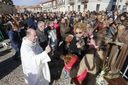 El párroco bendice a los animales que sus dueños portaban en brazos, ante la imagen del santo.