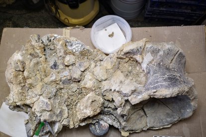 Imagen de la pieza antes de iniciar s restauración.