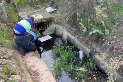Actuaciones de la Unidad de Medio Ambiente de la Policía Local de Burgos.