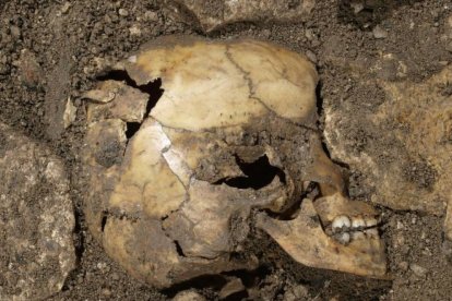 Fósiles localizados en Portalón sobre los que se realizaron estudios de ADN que determinaron su conexió co poblaciones de Oriente Medio.