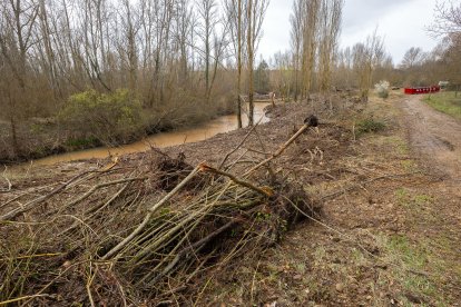 Las obras en el Humedal de Fuentes Blancas pretenden mejorar el flujo del agua que llega para ganar en biodiversidad.