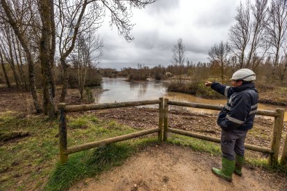 Las obras en el Humedal de Fuentes Blancas pretenden mejorar el flujo del agua que llega para ganar en biodiversidad.