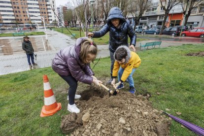 Dos alumnos plantan un árbol junto a la técnico municipal.