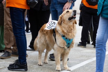 Imagen de la marcha.