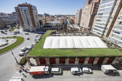 Las máquinas avanzan con los trabajos de derribo.