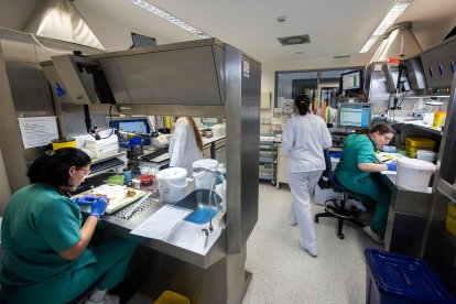 Sala donde se cortan las piezas extraídas en el quirófano.