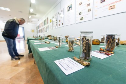 Cada especie representada se acompaña de la información técnica correspondiente.