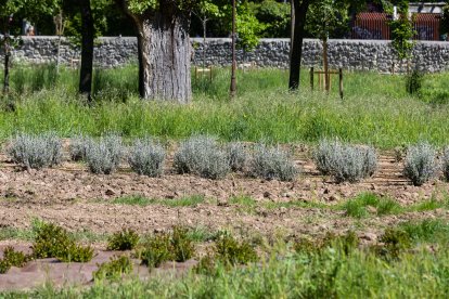 Las obras en el parque de El Parral encaran la recta final para su apertura al público.