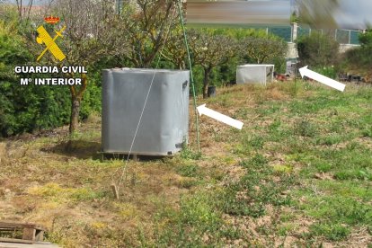 Red japonesa localizada en una huerta de Odra-Pisuerga.