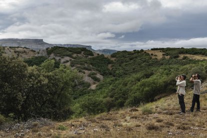 Dos personas avistan aves en la zona del Ordejones. NICOLÁS GALLEGO