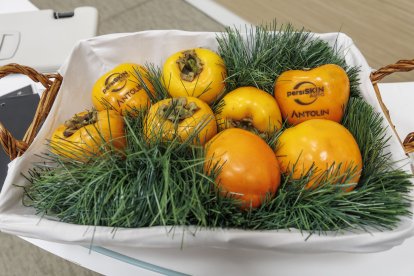 El proyecto de piel vegetal de Antolín podrá verse en los coches a partir de 2028.