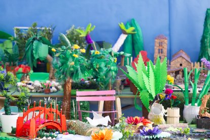 Detalle del jardín del colegio.