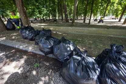 Limpieza del paseo de La Quinta después del Curpillos.