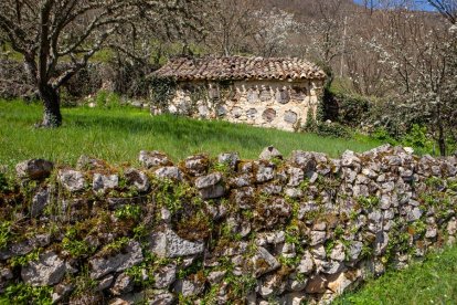 Hornillera de Bañuelos del Rudrón. E, DEL RIVERO