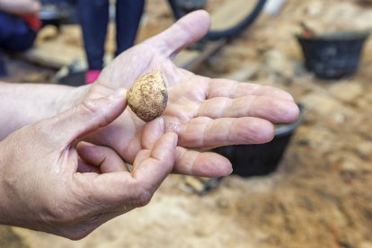 Trabajos de excavación en el nivel TD_6 de Gran Dolina en los yacimientos de Atapuerca.