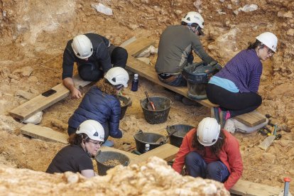 Trabajos de excavación en el nivel TD_6 de Gran Dolina en los yacimientos de Atapuerca.