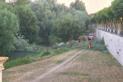 Los Bomberos intervienen junto al puente de Santa María.