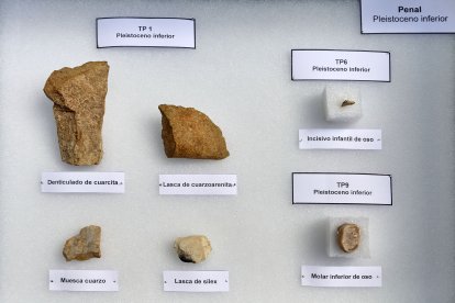 Restos de herramientas, similares a las de antecessor en Dolina, recuperada en Penal.