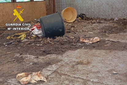 Estado de las instalaciones en las que estaban los animales.
