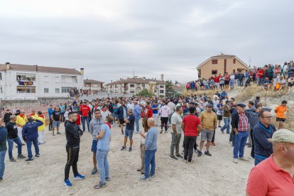 Primero de los encierros de las fiestas en honor a la Virgen del Rosario, con toros de la ganadería Araúz de Robles