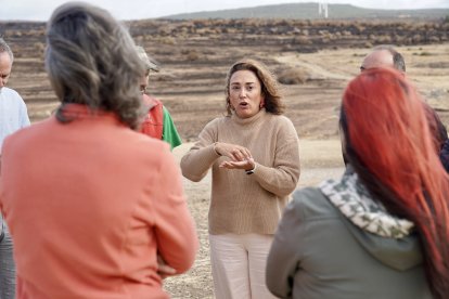 La consejera de Agricultura, Ganadería y Desarrollo Rural, María González Corral, visita una ganadería de ovino afectada por los incendios en Chana de Somoza, en el municipio de Lucillo (León)