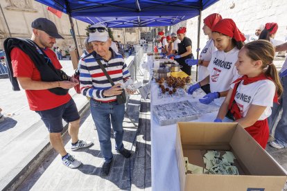 Imagen de la I Feria de la Morcilla de Burgos IGP.