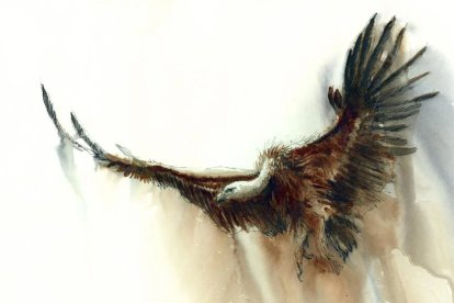 Ilustración de un buitre en pleno vuelo.