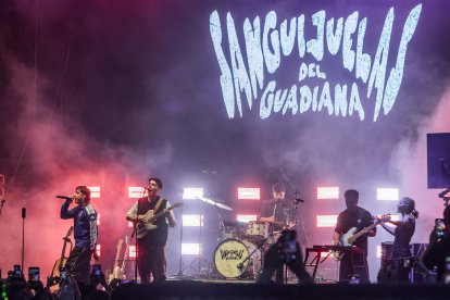 Imagen de actuaciones del festival Tribu.