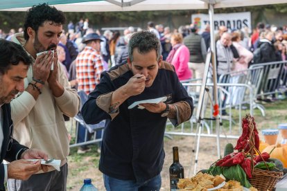 Instante del Día de la Exaltación de la Patatata de Tardajos.
