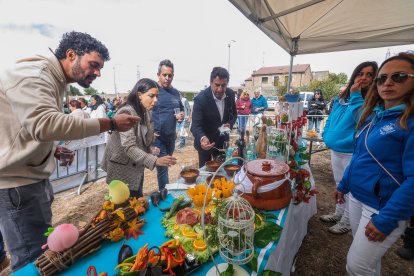 Instante del Día de la Exaltación de la Patatata de Tardajos.