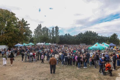Instante del Día de la Exaltación de la Patatata de Tardajos.
