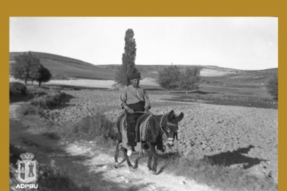 Imagen incluida en el libro.