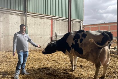 Javier Azpeleta es representante del sector lácteo de Urcacyl en Castilla y León, y vicepresidente a nivel nacional en cooperativas agroalimentarias