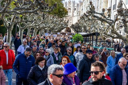 3.500 burgaleses participaron en la manifestación organizada por la Plataforma de la Sanidad Pública de Burgos.