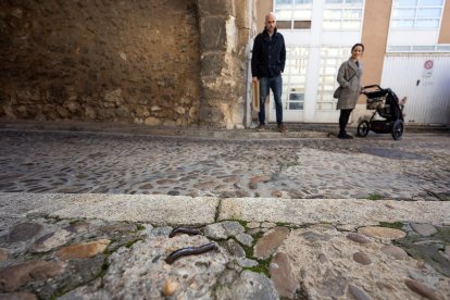 Estado actual del Arco del Amparo debido al tránsito continuo de vehículos.