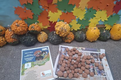 Alumnos de 15 centros con el Sello 'Centro Educativo Sostenible' participaron en la iniciativa